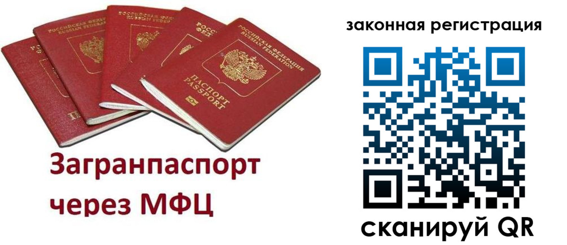 временная регистрация поиск в Электростали