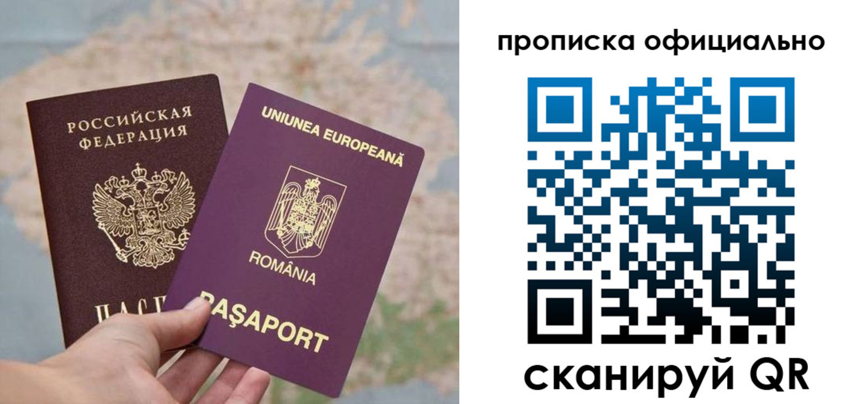временная регистрация поиск в Электростали